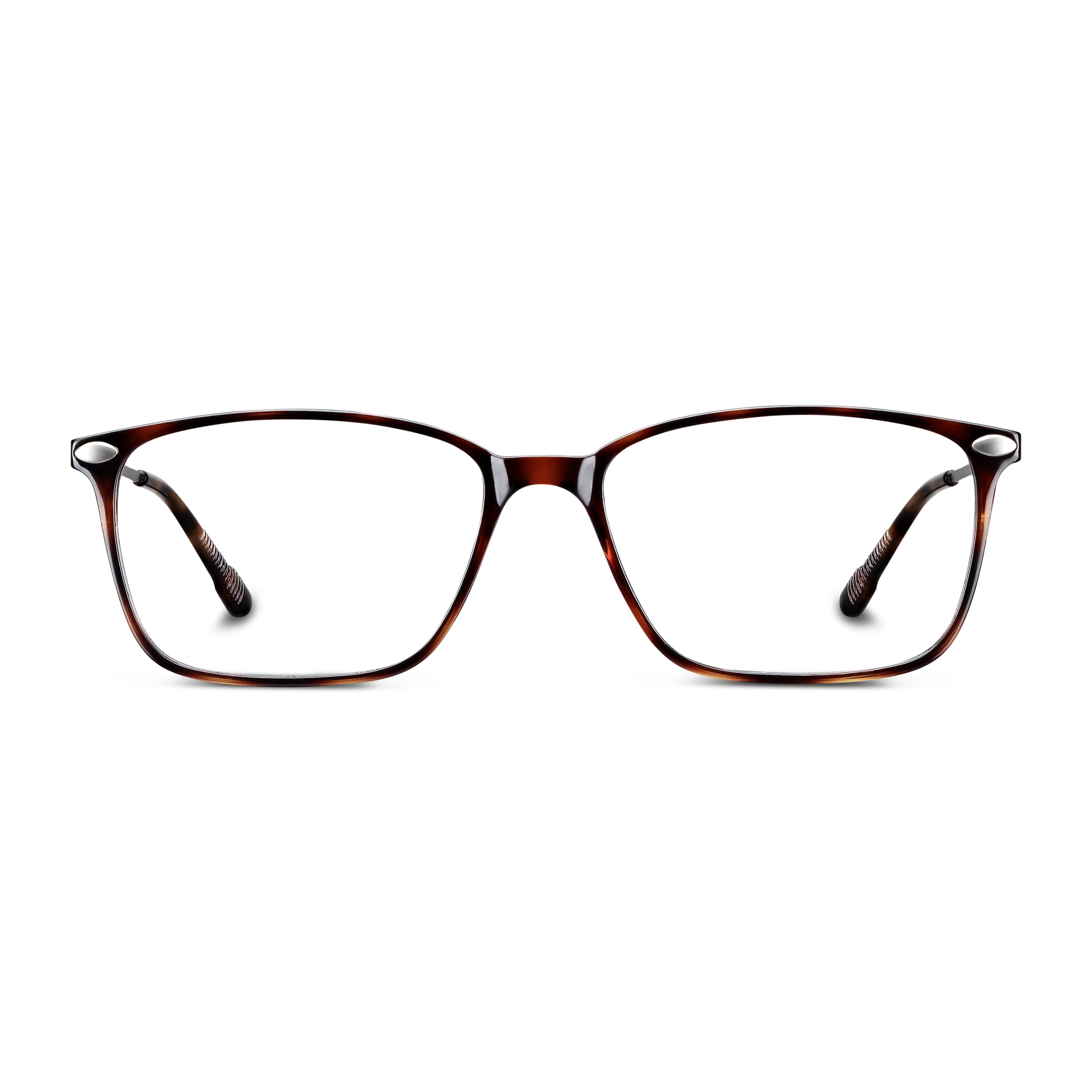 NOOZ BAO Tortoise Imagine secundară a produsului