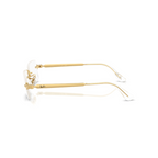Ray-Ban x A$AP Rocky RB3928V 2500 54