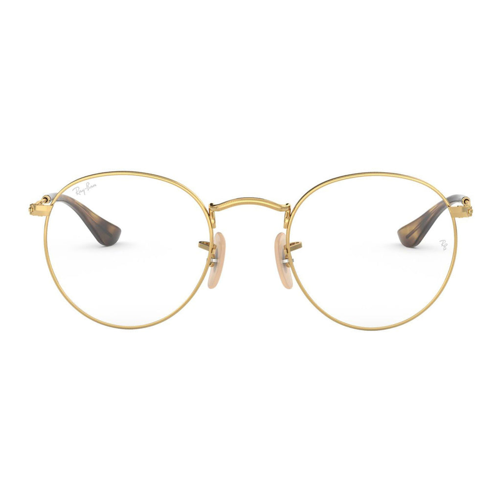 RAY-BAN RB3447V 2500 53 - Optivog